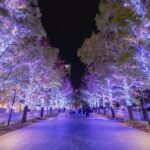 クリスマス 年末