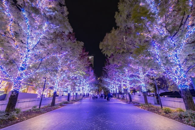 クリスマス 年末